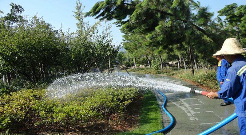 綠化養(yǎng)護的細節(jié)和方法